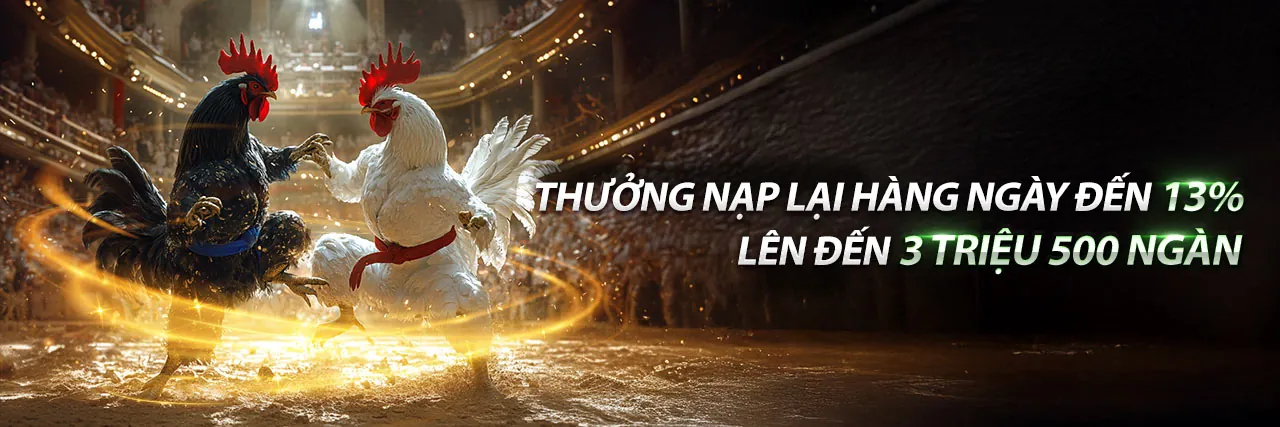 Đá gà trực tuyến k188 nhà cái