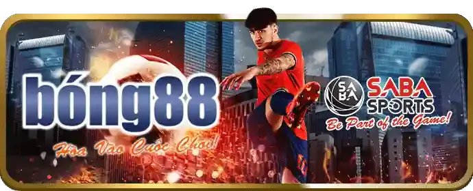 Cá cược thể thao tại k188 nhà cái